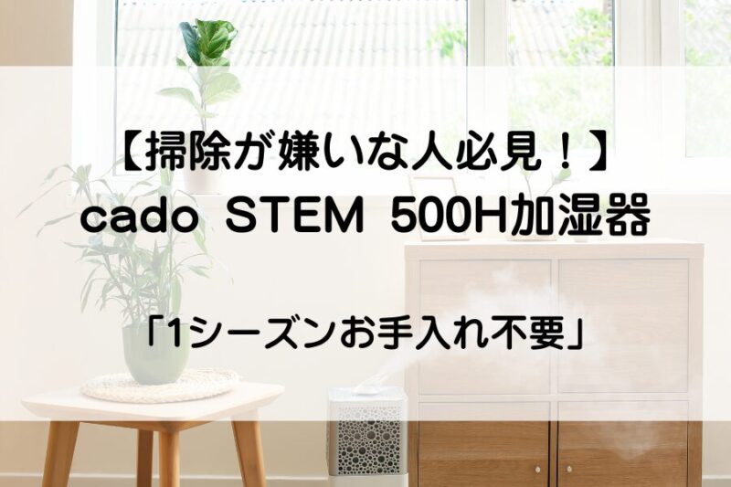 明るいリビングに加湿器が置いてある