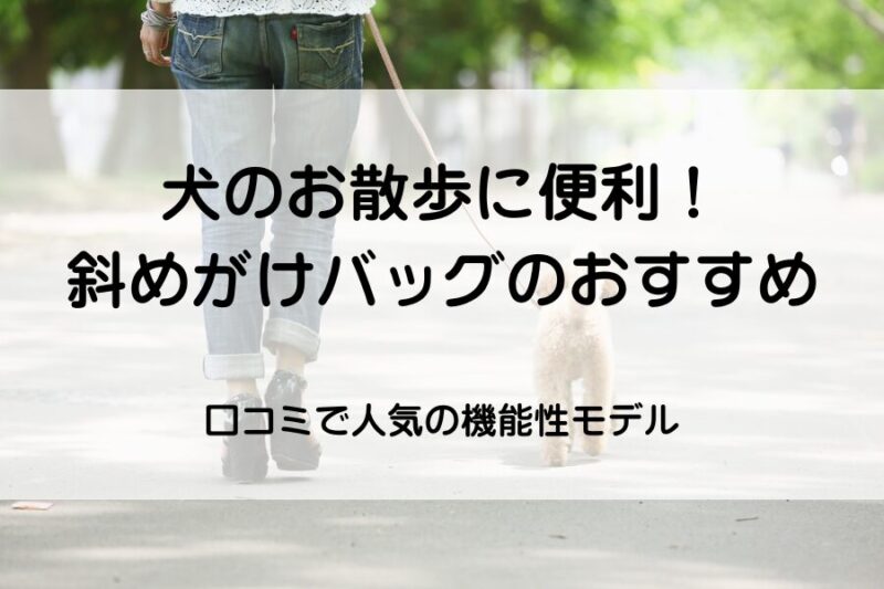 犬のお散歩後ろ姿