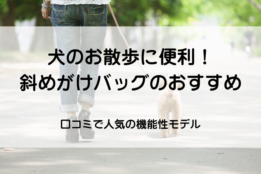 犬のお散歩後ろ姿