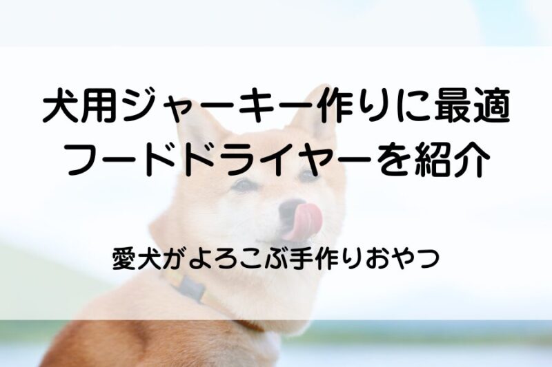 柴犬が舌でペロン