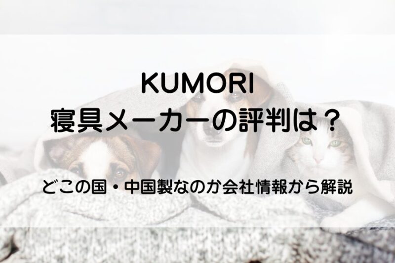 犬が毛布の中にいる