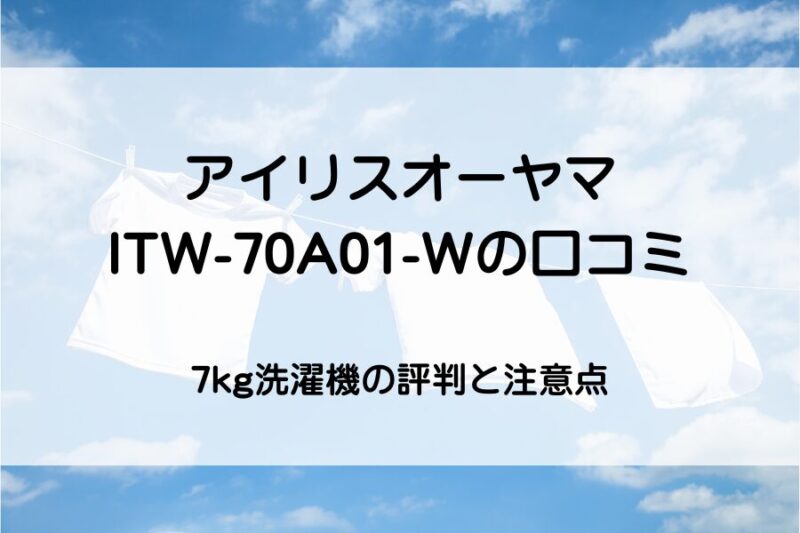 青空に白いTシャツが干してある