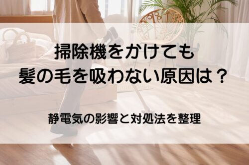 掃除機をかけている